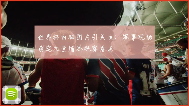 世界杯白猫图片引关注:赛事现场萌宠元素增添观赛看点