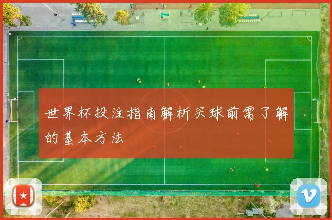 世界杯投注指南解析买球前需了解的基本方法