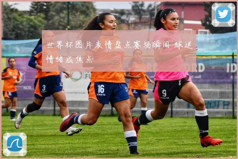 世界杯图片表情盘点赛场瞬间 球迷情绪成焦点