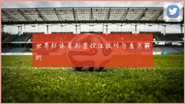 世界杯体育彩票投注技巧与看点解析