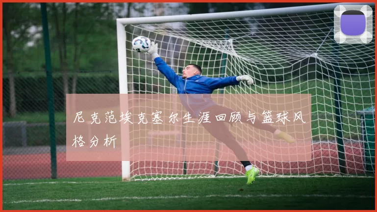 尼克范埃克塞尔生涯回顾与篮球风格分析