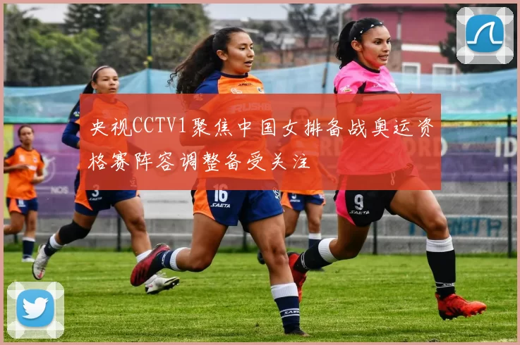 央视CCTV1聚焦中国女排备战奥运资格赛阵容调整备受关注